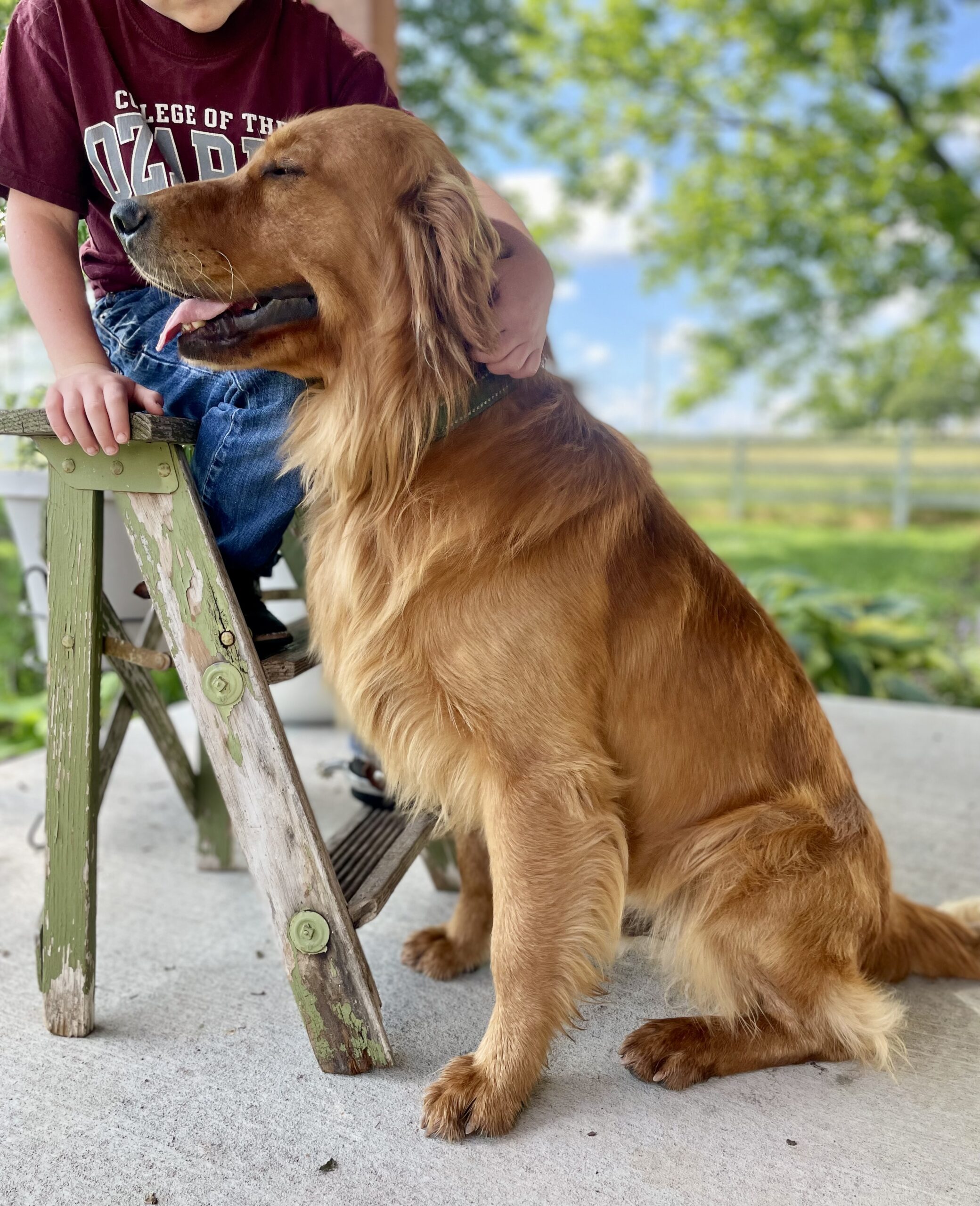 Ron Profile