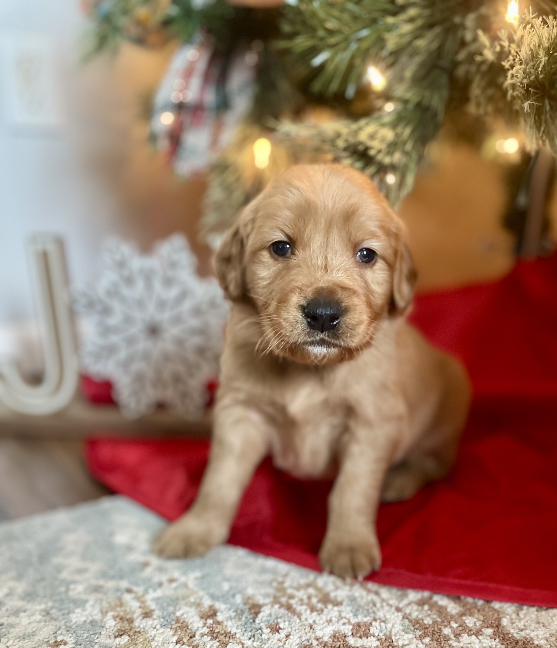 5a8a19ea-0798-42c4-a719-4a91947970ae