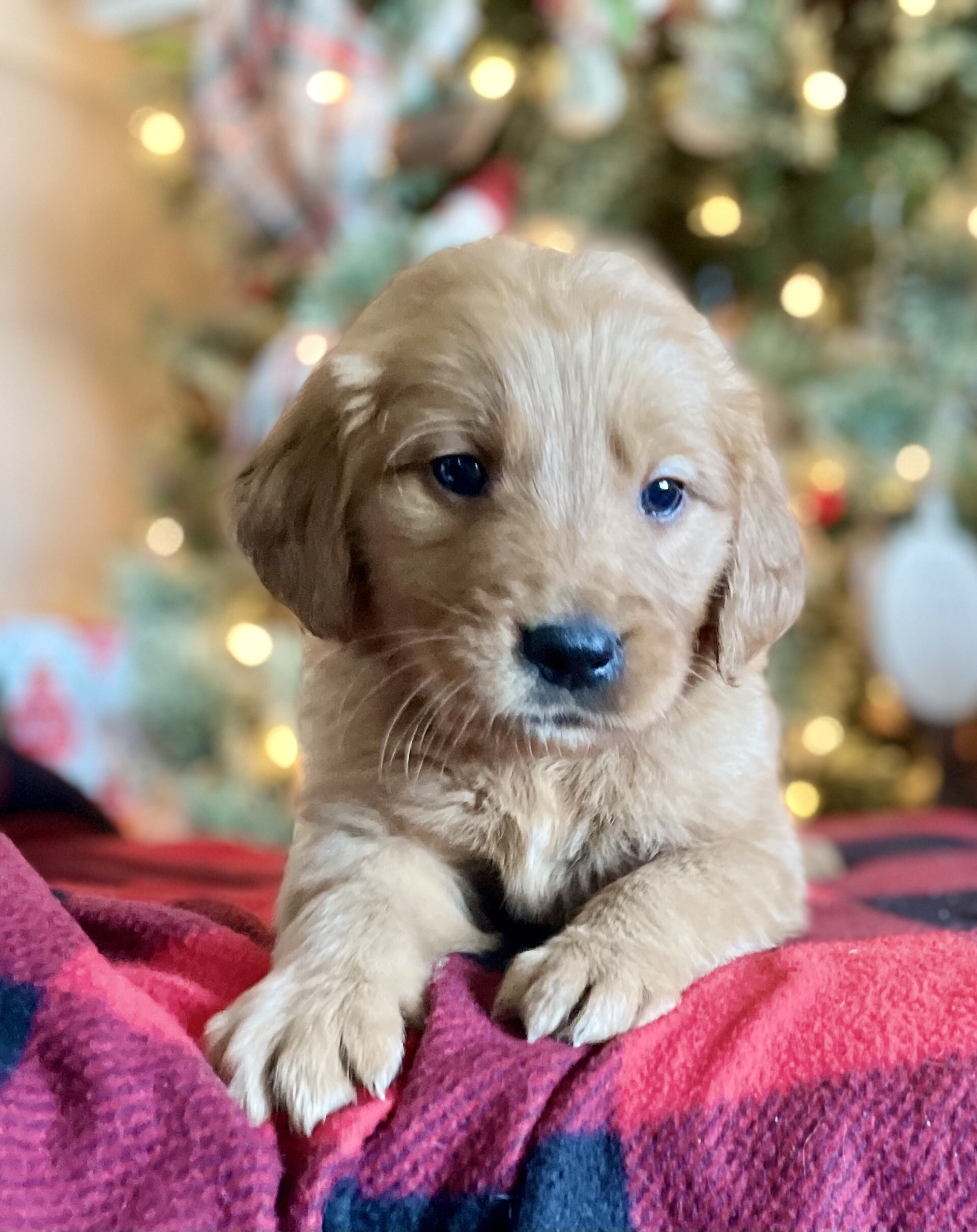 5aa84de2-ac7a-47e1-911b-f51d0fa358c3