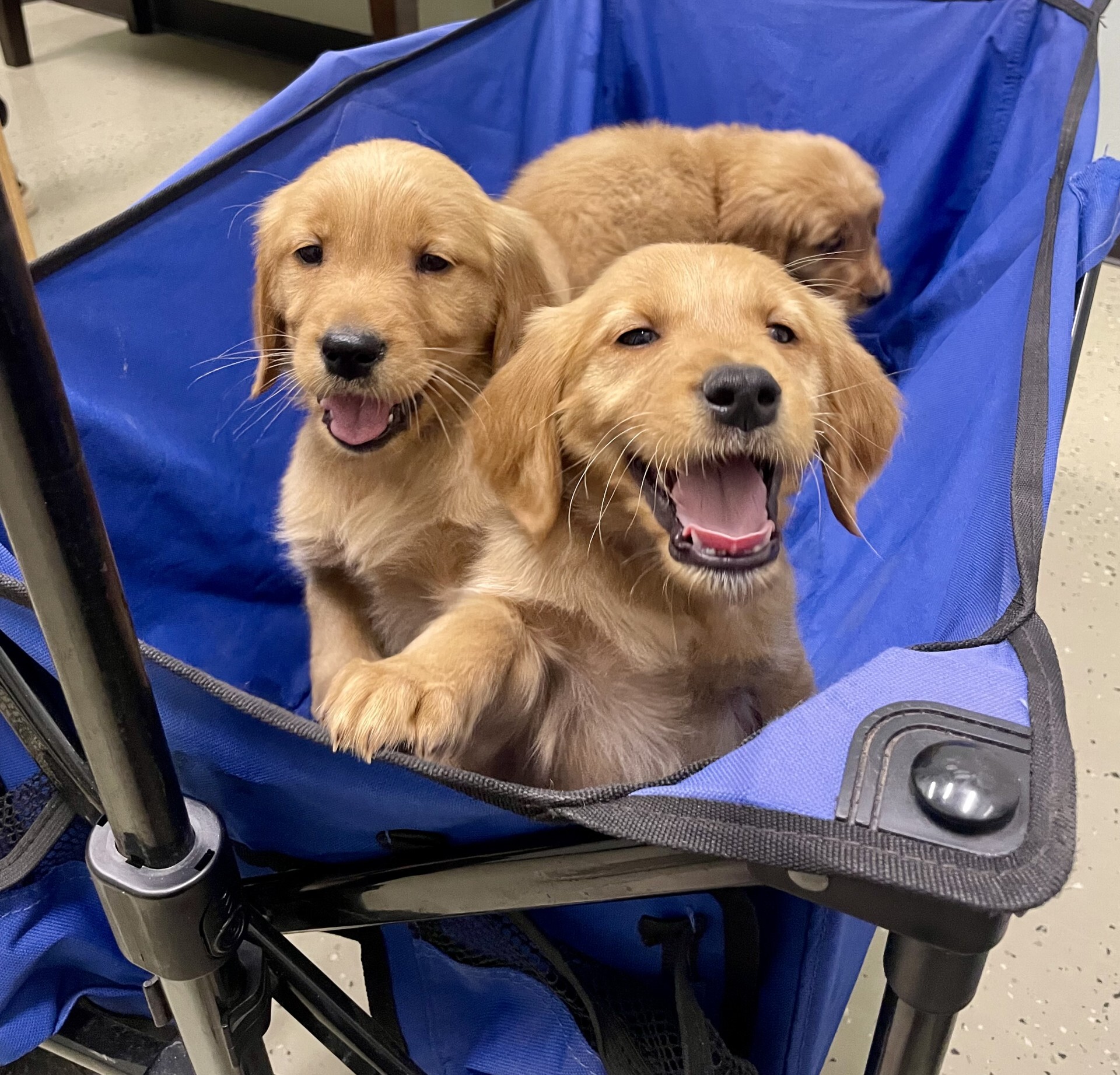 c87a1c66-dfa9-4b57-95da-1ba407f31ab6