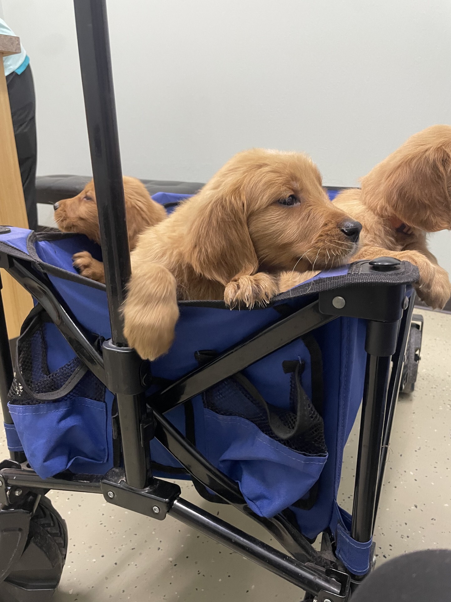 d950a421-c90a-4539-a80d-40cceb5a9892